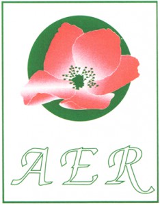 LOGO AER-01 m